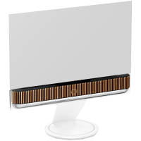 Beosound Theatre 55 Silver