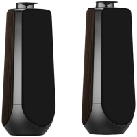Beolab 50 Speaker (Secondary) Black Anthracite
