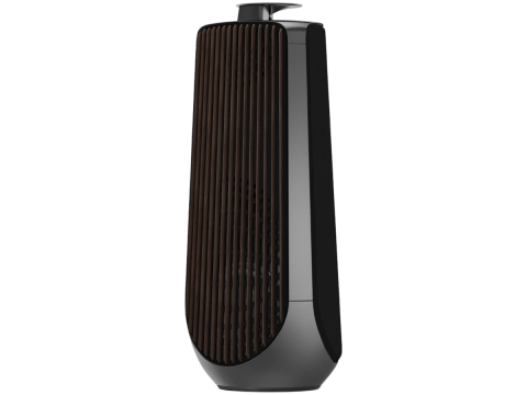 Beolab 50 Speaker (Secondary) Black Anthracite