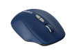 CANYON MW-21, 2.4 GHz  Wireless mouse ,with 7 buttons, DPI 800/1200/1600, Battery: AAA*2pcs,Blue,72*117*41mm, 0.075kg