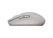 CANYON mouse MW-12 Dual band Wireless grey