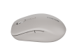CANYON mouse MW-12 Dual band Wireless grey