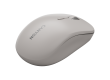 CANYON mouse MW-12 Dual band Wireless grey