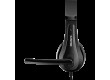 CANYON CHSU-1, basic PC headset with microphone, USB plug, leather pads, Flat cable length 2.0m, 160*60*160mm, 0.13kg, Black;