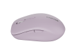 CANYON mouse MW-12 Dual band Wireless Pink