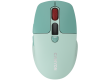 CANYON mouse MW-26 LCD Silent Dual Mode Wireless Green