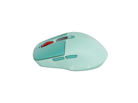CANYON mouse MW-26 LCD Silent Dual Mode Wireless Green