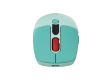 CANYON mouse MW-26 LCD Silent Dual Mode Wireless Green