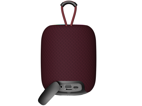 CANYON speaker BSP-8 10W Red