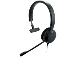 JABRA Evolve 20, Mono MS, USB C/A adapter
