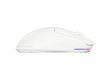 LORGAR MSA10W, Wireless Gaming Mouse Advanced, white