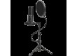 LORGAR Voicer 721, Gaming Microphone, Black, USB condenser microphone with tripod stand, pop filter, including 1 microphone, 1 Height metal tripod, 1 plastic shock mount, 1 windscreen cap, 1,2m metel type-C USB cable, 1 pop filter, 154.6x56.1mm