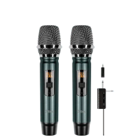 ttec Wireless 2 way  Mic System Dual Channel receiver
