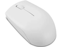 Lenovo 300 Wireless Compact Mouse (Cloud Grey) with battery