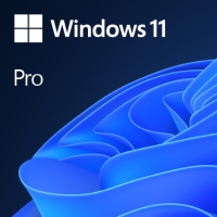 Microsoft Windows Professional 11 64-bit All Languages Product Key License Online Downloadable NR