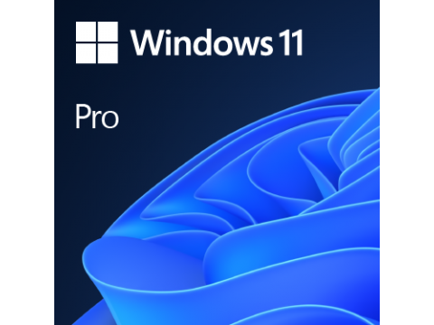 Microsoft Win Pro 11 64-bit All Lng PK Lic Online DwnLd NR