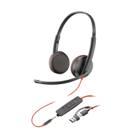 Наушники Poly BW 3225 USB-C HS +USB- C/A (Bulk) (8X229A6)