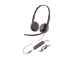 Наушники Poly BW 3225 USB-C HS +USB- C/A (Bulk) (8X229A6)