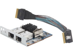 Сетевой адаптер HP Dual Port 10GBase-T NIC Module G2 (360K6AA)